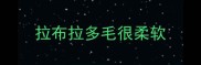拉布拉多毛很柔软