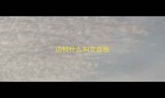 边牧什么叫文血统