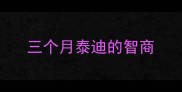 三个月泰迪的智商