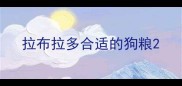 拉布拉多合适的狗粮