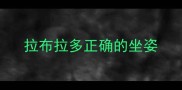 拉布拉多正确的坐姿