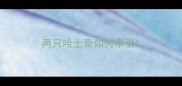 两只哈士奇如何牵引