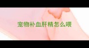 宠物补血肝精怎么喂