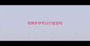 母狗怀孕可以打疫苗吗