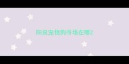 阳泉宠物狗市场在哪