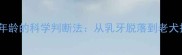 边牧牙齿与年龄的科学判断法从乳牙脱落到老犬护理全攻略