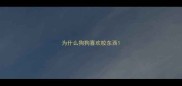 为什么狗狗喜欢咬东西