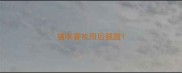 猫咪喜欢用后腿蹬