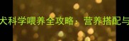 3个月大幼犬科学喂养全攻略营养搭配与常见误区