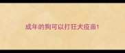 成年的狗可以打狂犬疫苗
