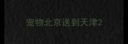 宠物北京送到天津