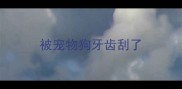 被宠物狗牙齿刮了