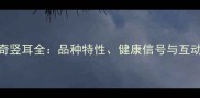 哈士奇竖耳全品种特性健康信号与互动技巧