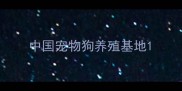 中国宠物狗养殖基地