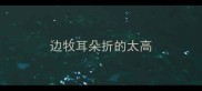 边牧耳朵折的太高