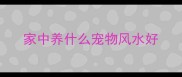 家中养什么宠物风水好