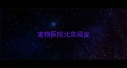 宠物医院北京顽皮