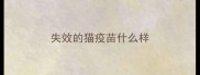 失效的猫疫苗什么样