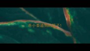养小泰迪狗的笼子