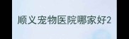 顺义宠物医院哪家好