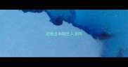 边牧会和陌生人走吗