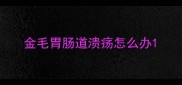 金毛胃肠道溃疡怎么办