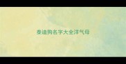 泰迪狗名字大全洋气母