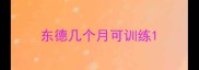 东德几个月可训练