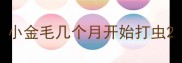小金毛几个月开始打虫
