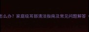 猫咪耳道脏乱怎么办家庭级耳部清洁指南及常见问题解答附视频教程