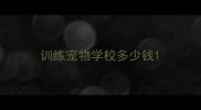 训练宠物学校多少钱