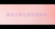 黑龙江哈尔滨宠物基地