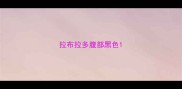 拉布拉多腹部黑色