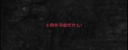 小狗怀孕能吃什么
