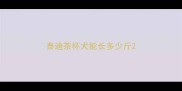 泰迪茶杯犬能长多少斤