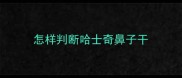 怎样判断哈士奇鼻子干