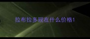 拉布拉多现在什么价格