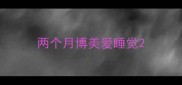 两个月博美爱睡觉