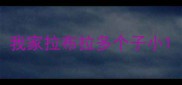 我家拉布拉多个子小