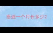 泰迪一个月长多少