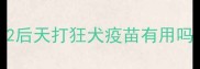 2后天打狂犬疫苗有用吗