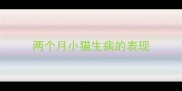 两个月小猫生病的表现