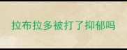 拉布拉多被打了抑郁吗