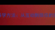 让猫咪主动亲近你的5个科学方法从互动到信任的完整指南附训练步骤