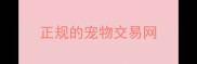 正规的宠物交易网
