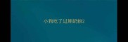 小狗吃了过期奶粉