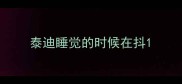泰迪睡觉的时候在抖