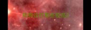 狗狗该打那些疫苗