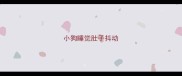 小狗睡觉肚子抖动