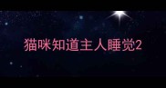 猫咪知道主人睡觉